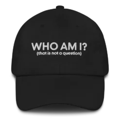 Who Am I? Hat -Deals Mode Raft Store classic dad hat black front 6400d3d28e1de